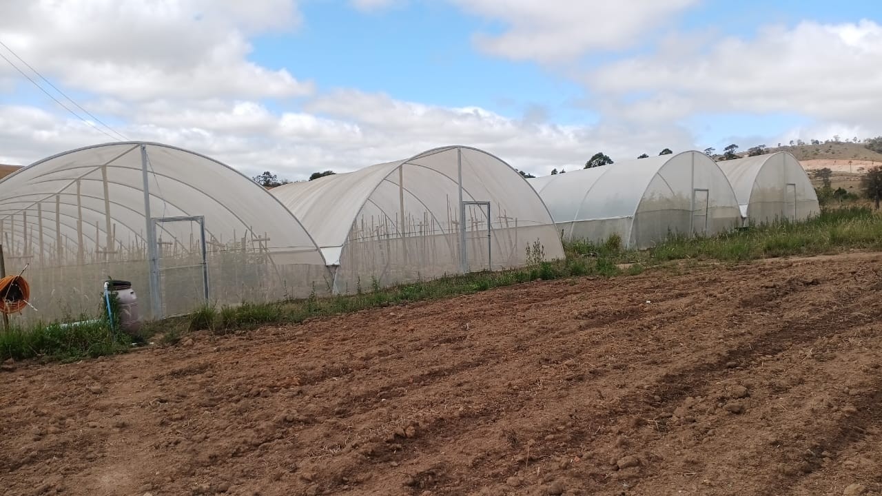 Sítio, 4 quartos, 2 hectares - Foto 24