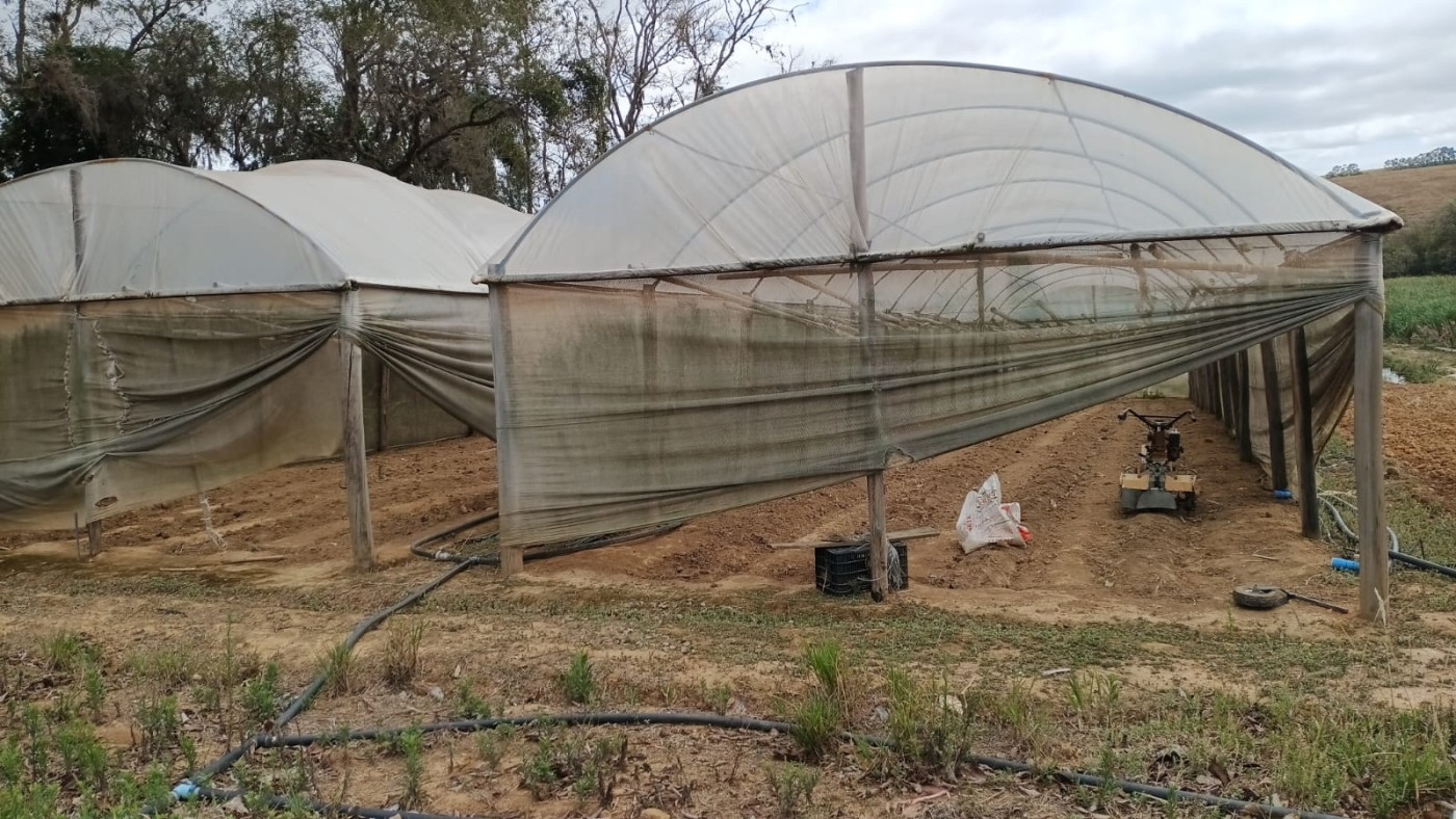 Sítio, 4 quartos, 2 hectares - Foto 21