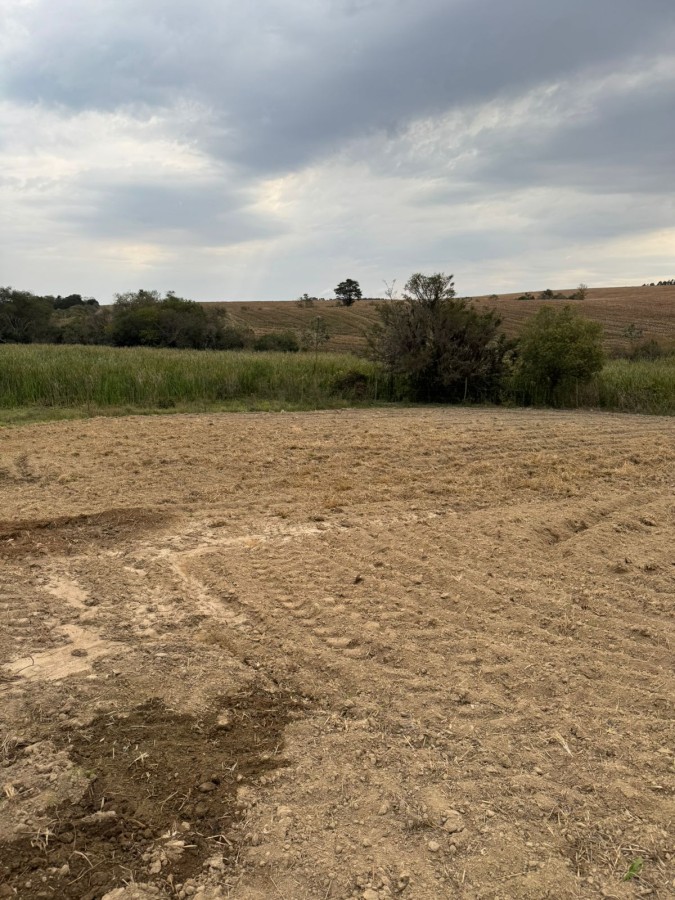 Sítio, 4 quartos, 2 hectares - Foto 27