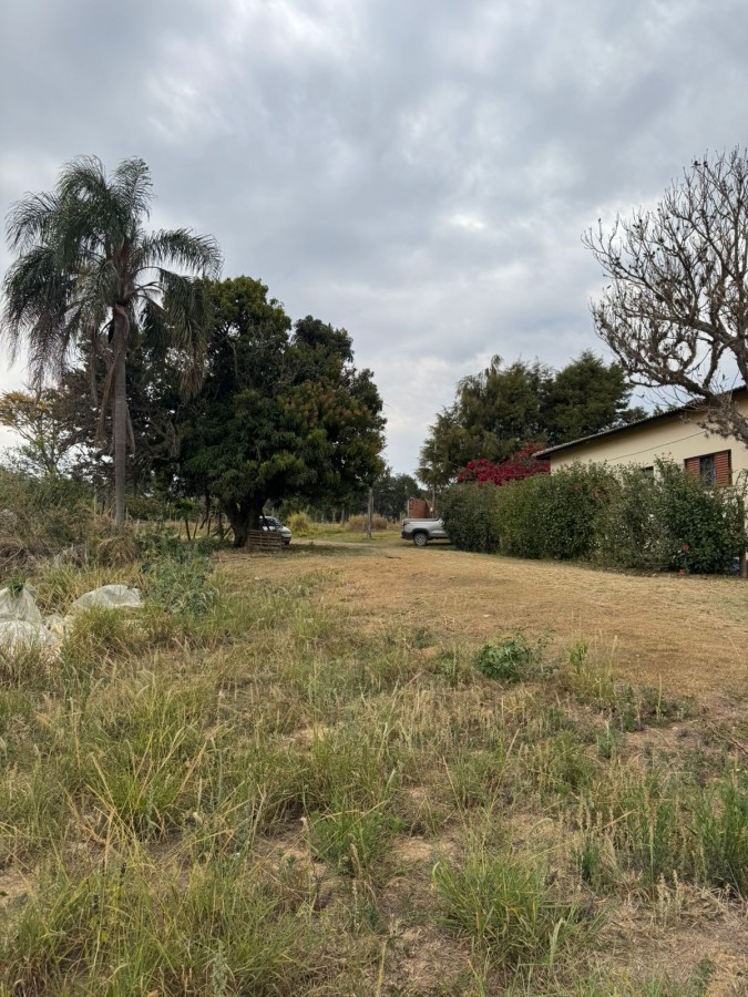 Sítio, 4 quartos, 2 hectares - Foto 32