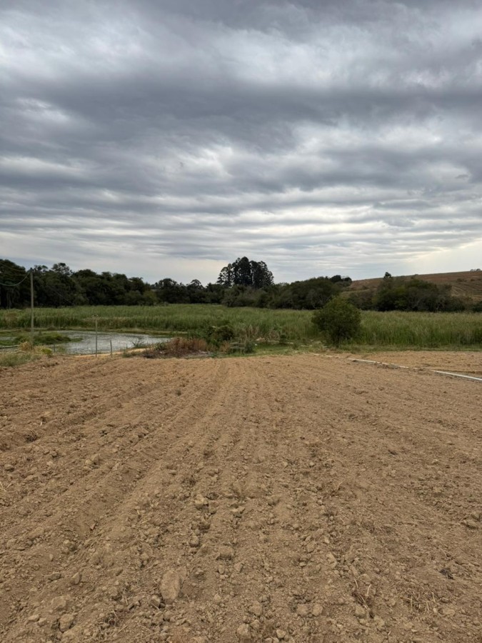 Sítio, 4 quartos, 2 hectares - Foto 34