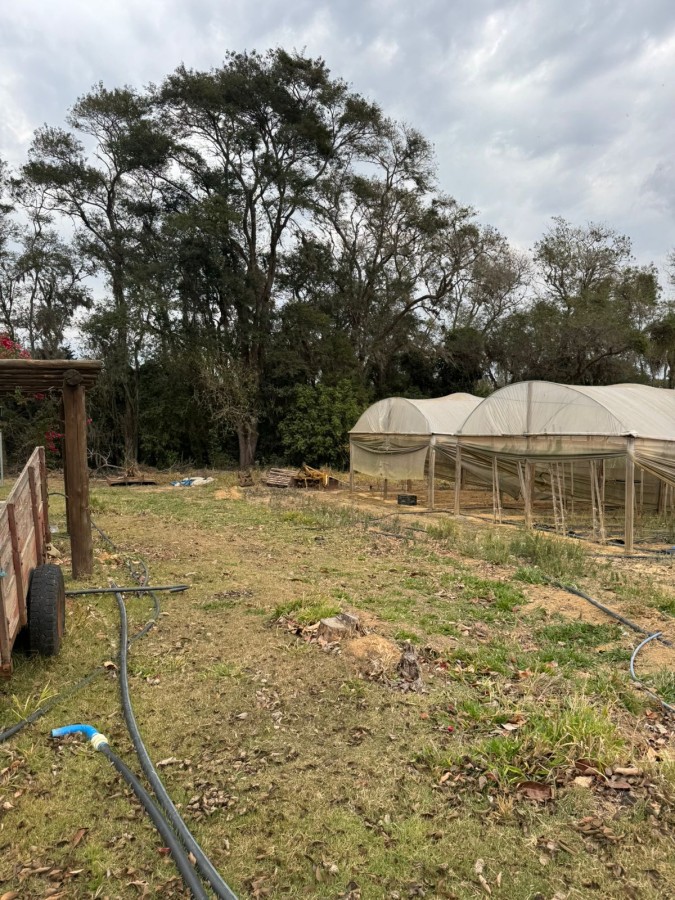 Sítio, 4 quartos, 2 hectares - Foto 35