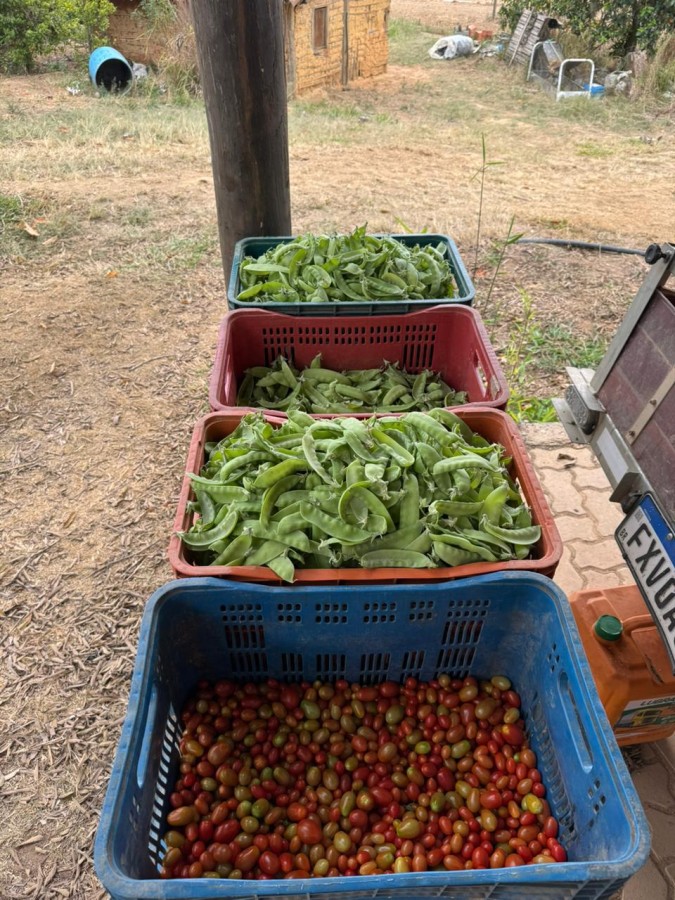 Sítio, 4 quartos, 2 hectares - Foto 33