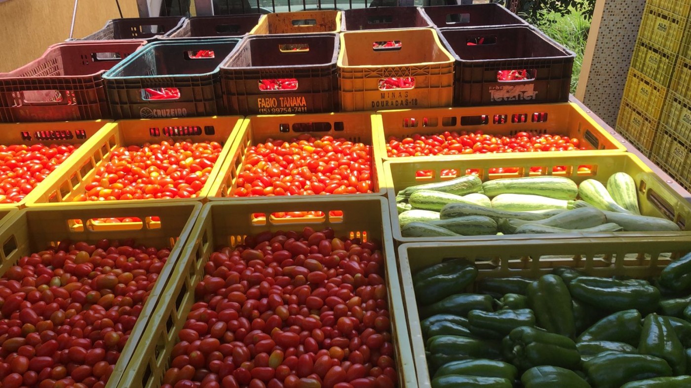 Sítio, 4 quartos, 2 hectares - Foto 41