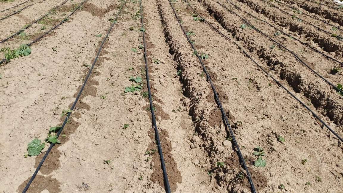 Sítio, 4 quartos, 2 hectares - Foto 36