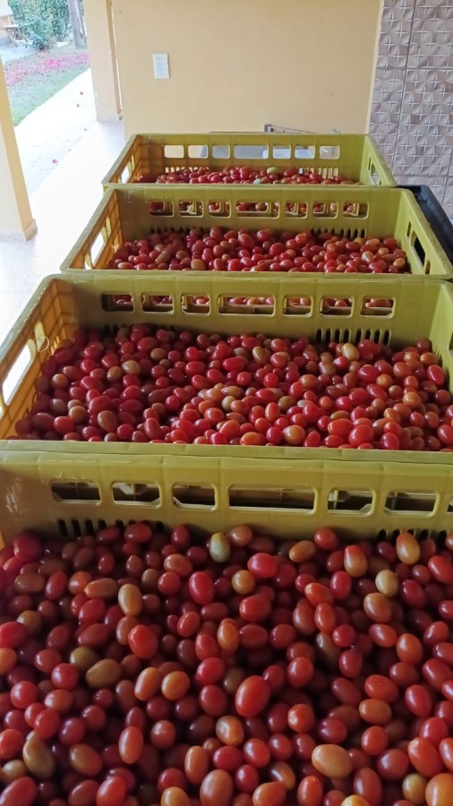 Sítio, 4 quartos, 2 hectares - Foto 38