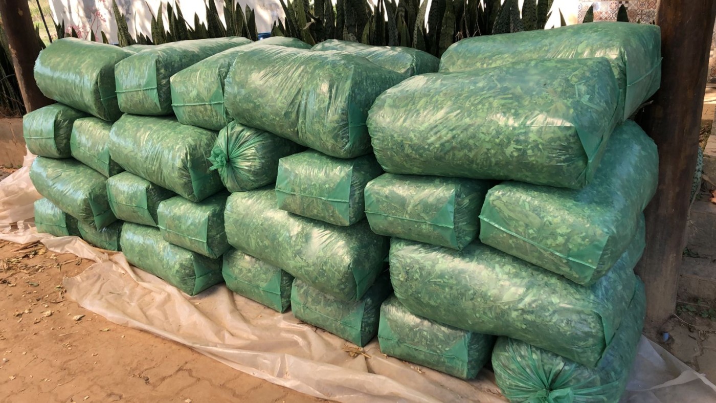 Sítio, 4 quartos, 2 hectares - Foto 42