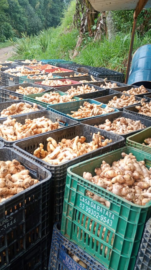 Sítio, 4 quartos, 2 hectares - Foto 45