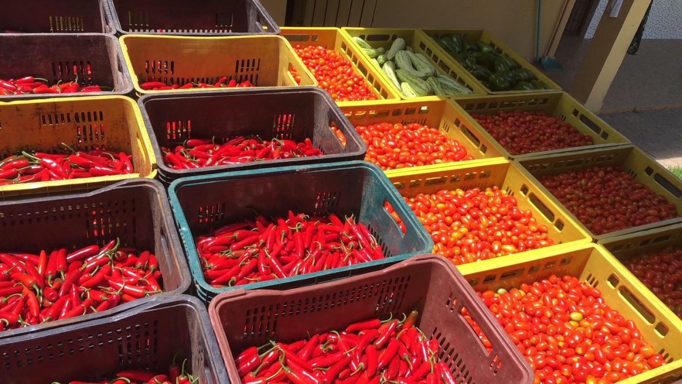 Sítio, 4 quartos, 2 hectares - Foto 43