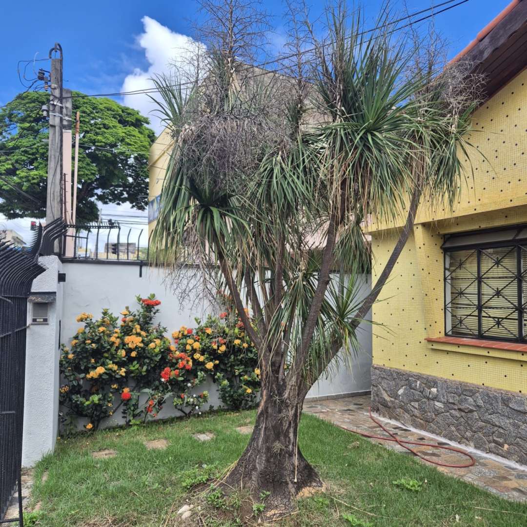 Casa, 3 quartos, 180 m² - Foto 2
